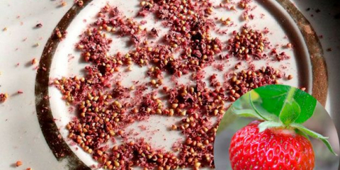 Kdy na pádu v roce 2022 stiskněte jahody?